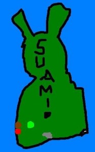 Suomen jääkiekkokartta keväällä 2013