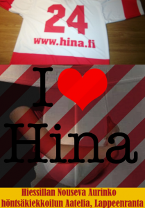 HINAn ”TOP-5” vuonna 2015